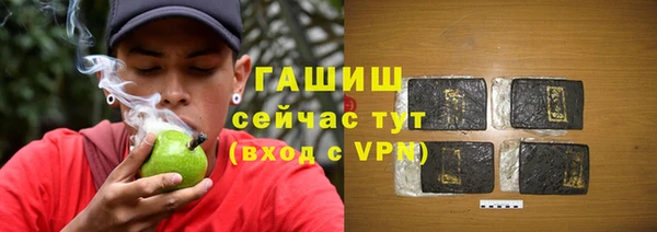 сатива Белокуриха