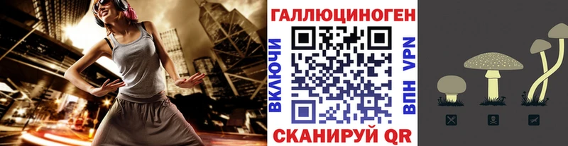 Галлюциногенные грибы Psilocybe Бобров